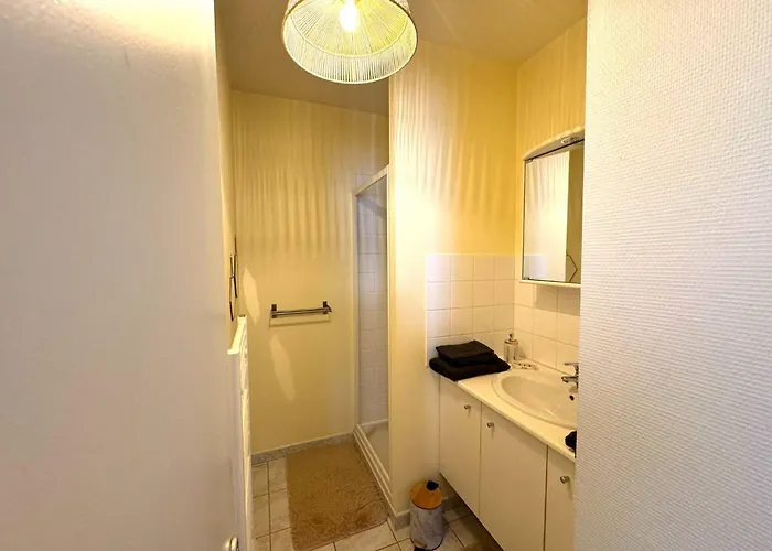 Apartmán Confort Laval (Mayenne)